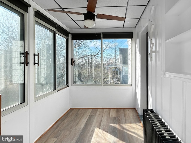 unfurnished sunroom featuring radiator, a paneled ceiling, and ceiling fan