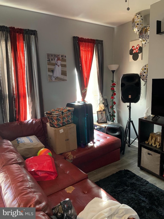 living room with light wood-type flooring