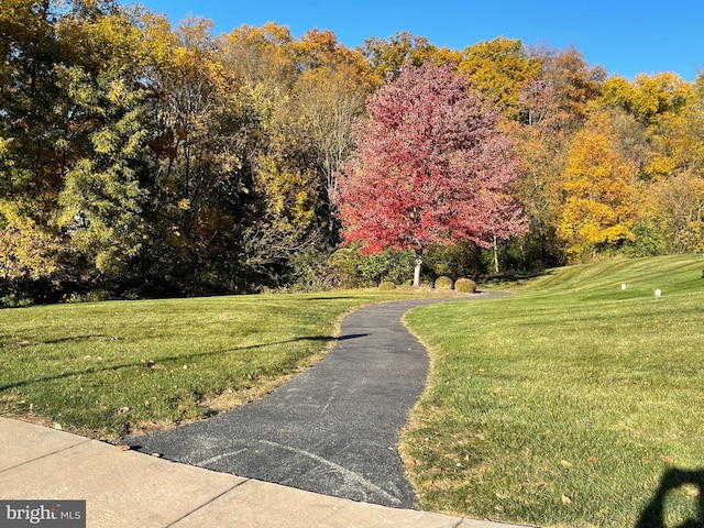 view of home's community with a yard