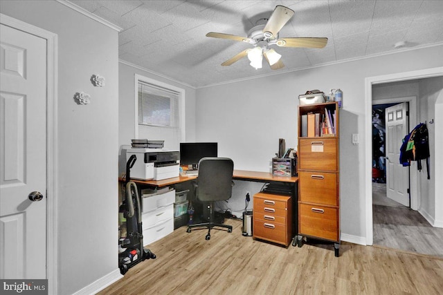 office featuring crown molding, ceiling fan, a textured ceiling, and light wood-type flooring