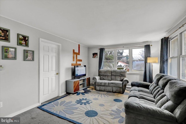 living room with carpet floors, a baseboard radiator, and ornamental molding