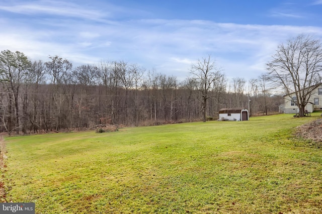 view of yard featuring a storage shed