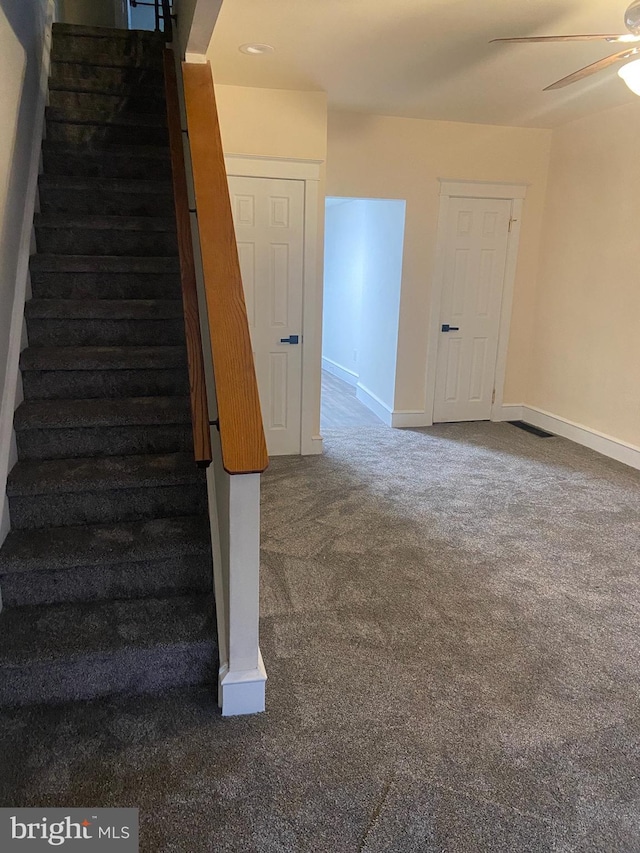 stairway with ceiling fan and carpet