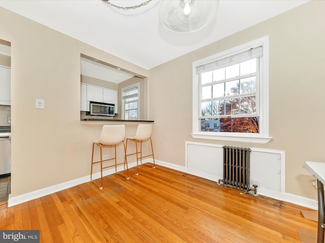 interior space featuring a wealth of natural light, light wood-type flooring, and radiator