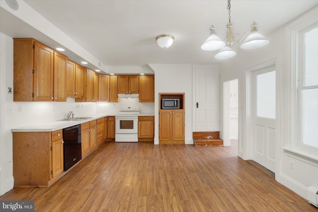 kitchen with pendant lighting, dishwasher, light hardwood / wood-style flooring, electric range, and built in microwave