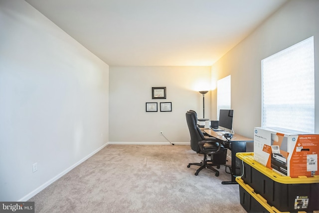 home office with carpet flooring