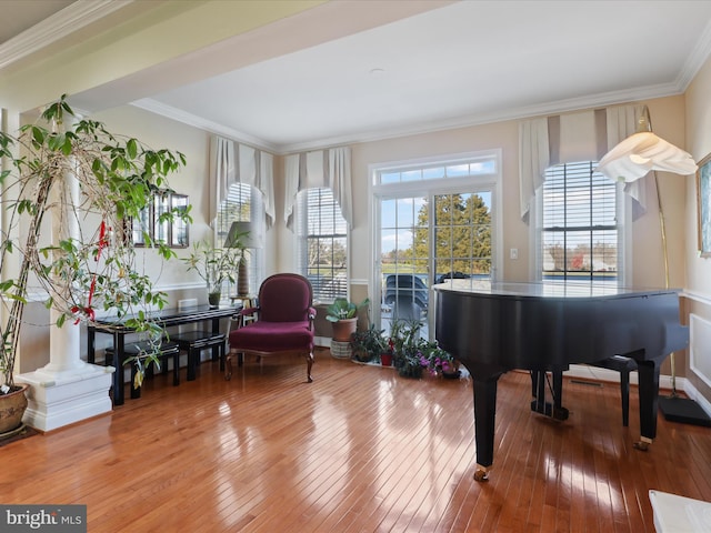 living area with hardwood / wood-style flooring, plenty of natural light, and ornamental molding