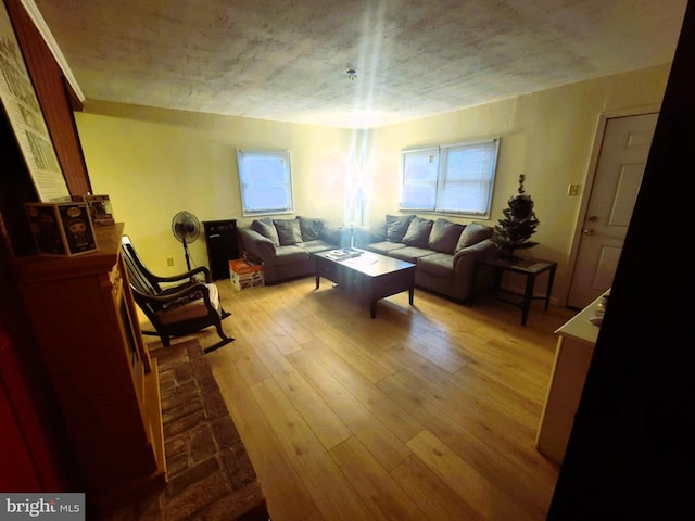 living room featuring light wood-type flooring