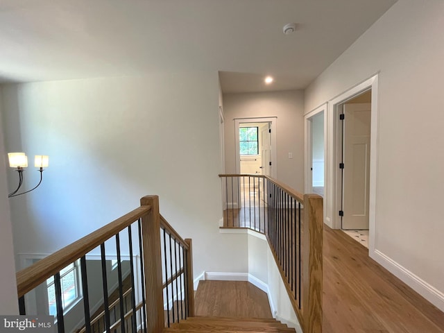 stairway with hardwood / wood-style floors