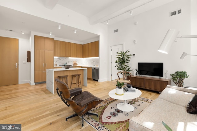 living room featuring light wood-type flooring, track lighting, and sink