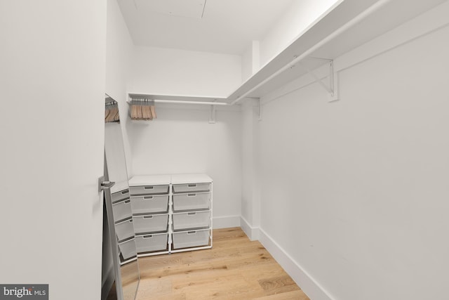 walk in closet featuring light hardwood / wood-style flooring