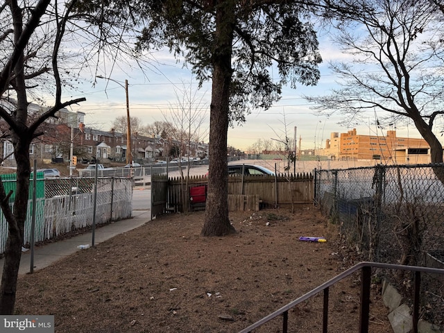 view of yard at dusk