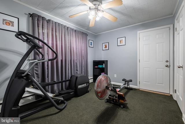 workout room featuring carpet floors, ceiling fan, and crown molding