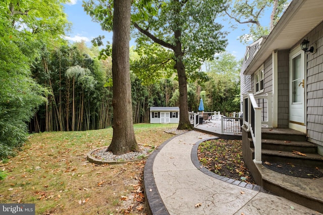 view of yard with a deck and a storage unit