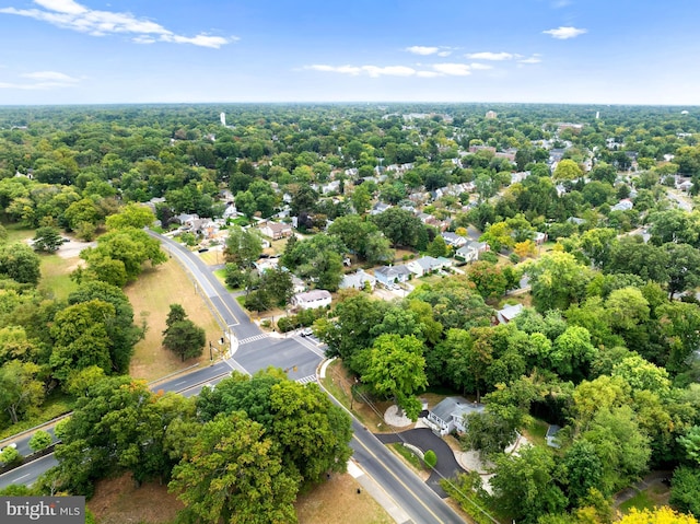 bird's eye view