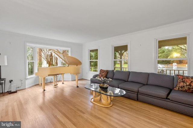 living room with crown molding, a healthy amount of sunlight, and light hardwood / wood-style floors