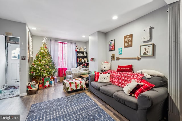 living room with dark hardwood / wood-style flooring