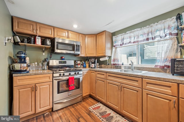 kitchen with hardwood / wood-style flooring, sink, and stainless steel appliances