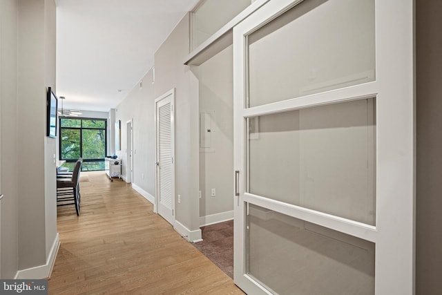 hallway featuring wood-type flooring