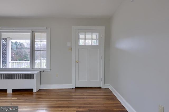 entrance foyer featuring radiator heating unit, dark hardwood / wood-style floors, and a healthy amount of sunlight