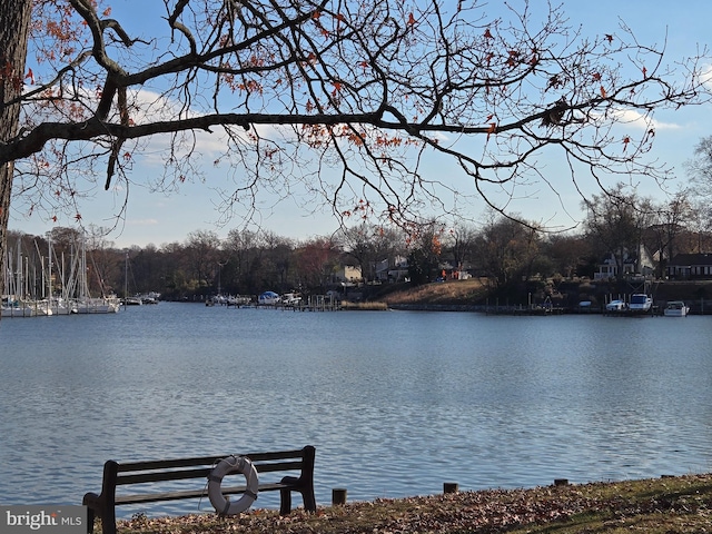 property view of water