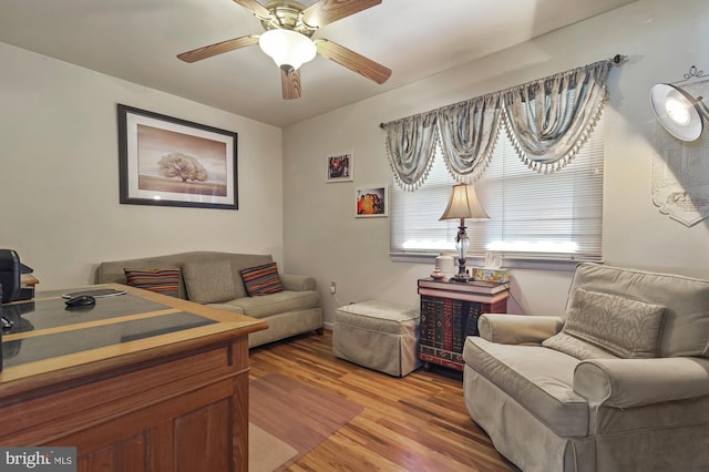 living room with ceiling fan and light hardwood / wood-style floors