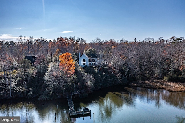 property view of water featuring a boat dock