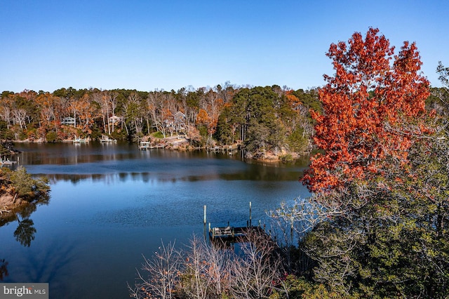 water view featuring a boat dock