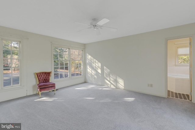 interior space with plenty of natural light and ceiling fan