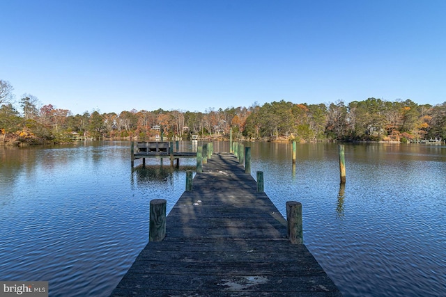 dock area with a water view