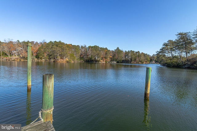 property view of water