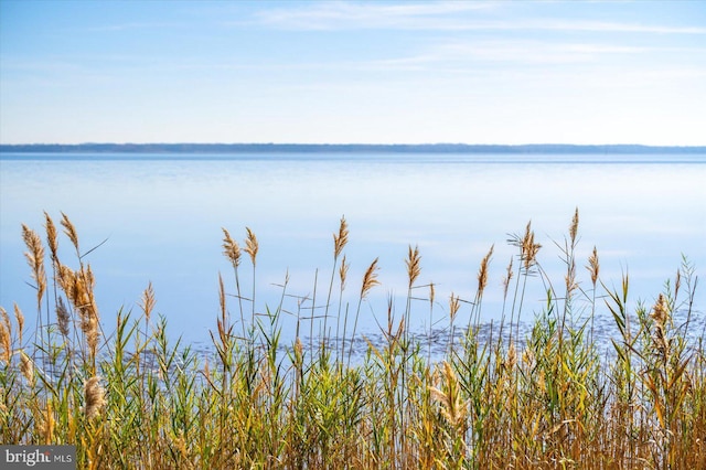 water view