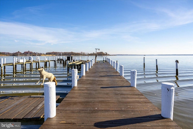 dock area featuring a water view