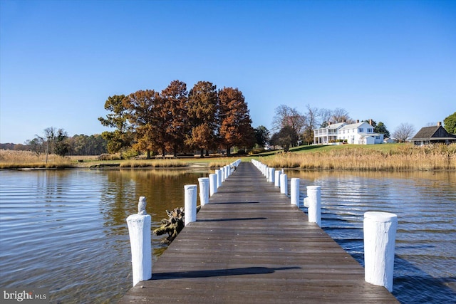 dock area with a water view