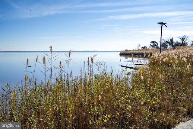 view of dock with a water view