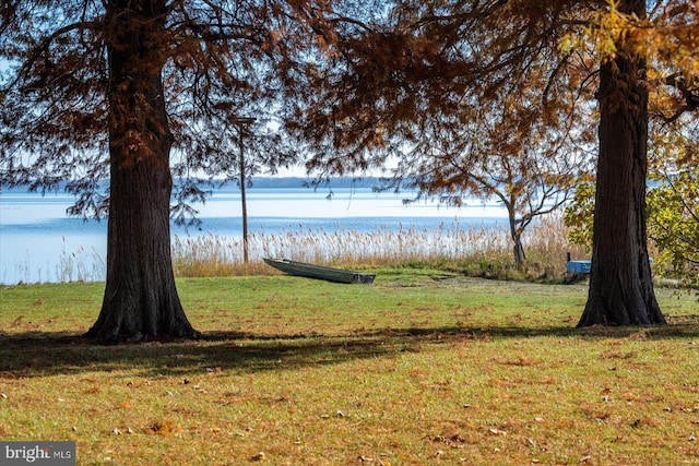 view of yard with a water view