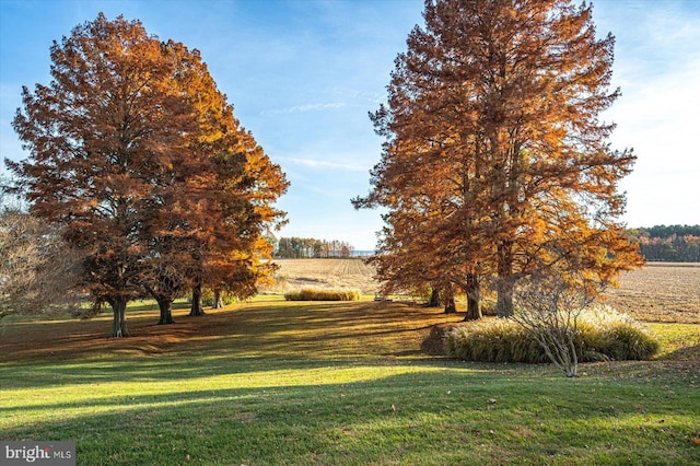 view of property's community featuring a rural view and a yard