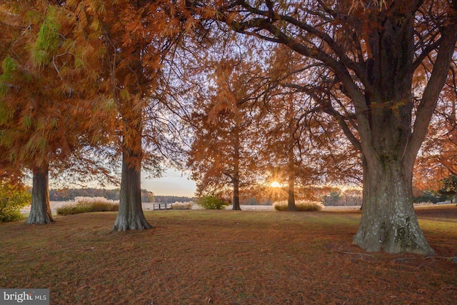 yard at dusk featuring a rural view