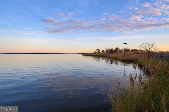 property view of water