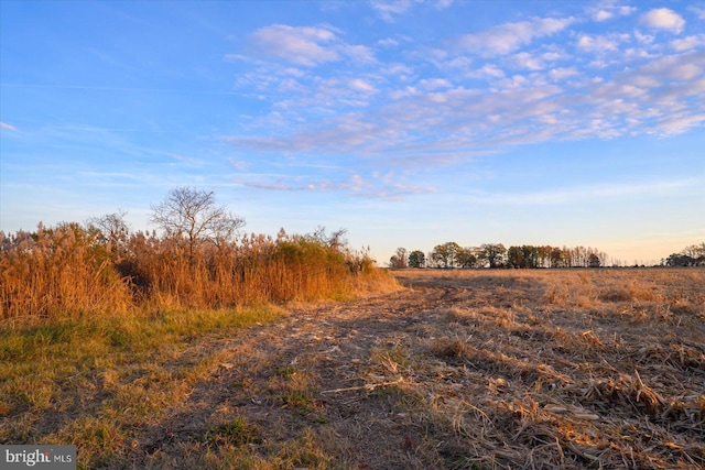 view of street featuring a rural view