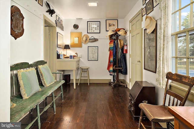 mudroom with dark wood-type flooring