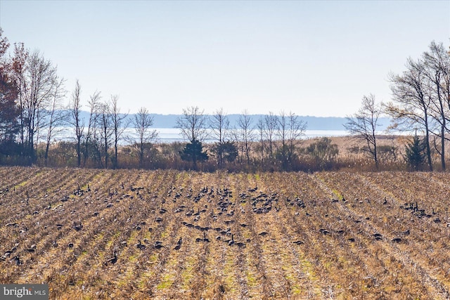 view of nature with a rural view