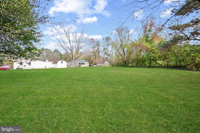 view of yard