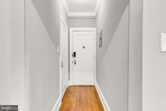 hall featuring hardwood / wood-style flooring and ornamental molding