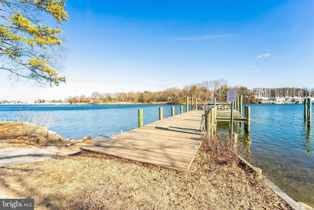 dock area featuring a water view