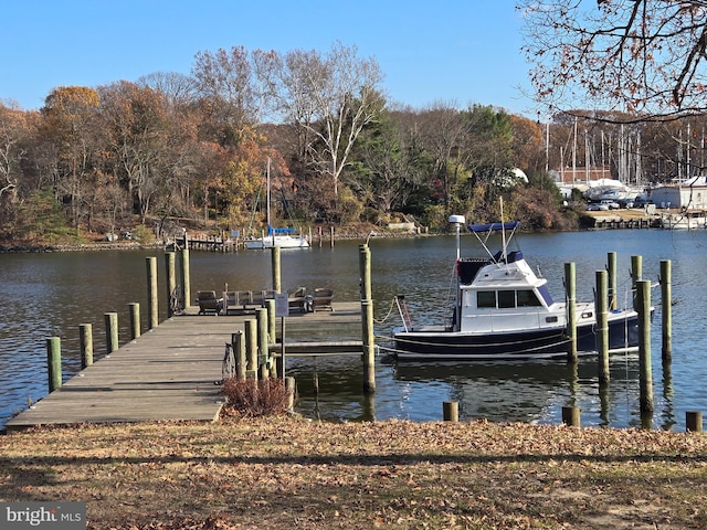 view of dock with a water view