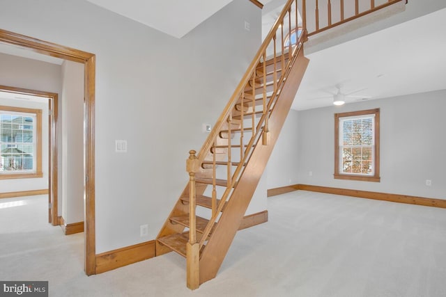 staircase with carpet and ceiling fan