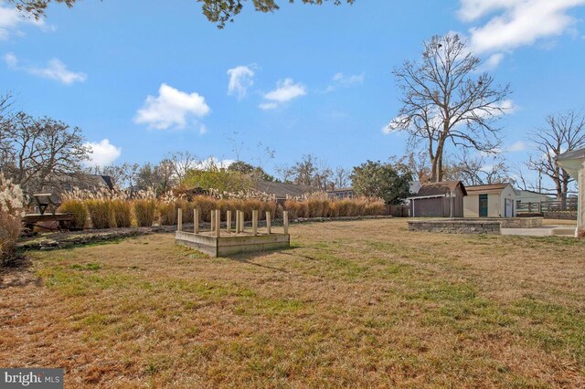 view of yard featuring a storage shed