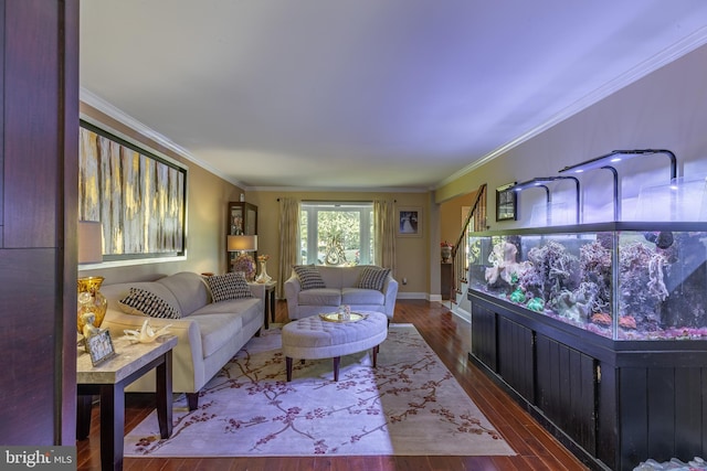 living room with hardwood / wood-style floors and crown molding