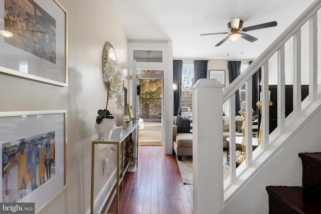 foyer with dark hardwood / wood-style floors and ceiling fan